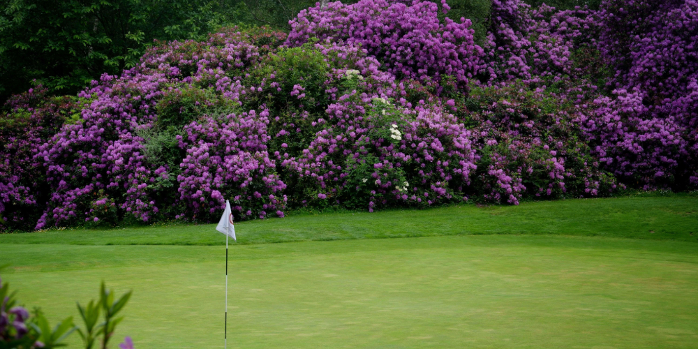 golf-champ-bataille-normandie (1)