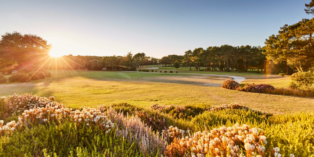 golf-saint-laurent-fwog (1)